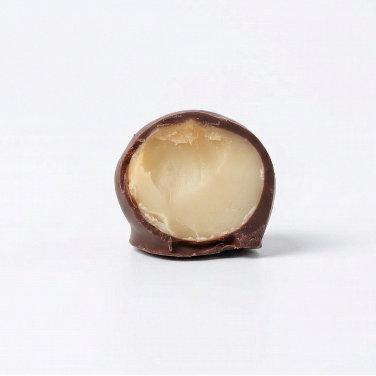 Macadamia Coated Dark Chocolate